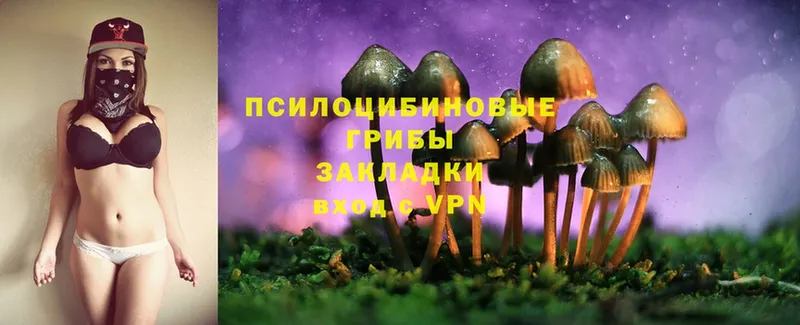 Псилоцибиновые грибы GOLDEN TEACHER  Ленск 